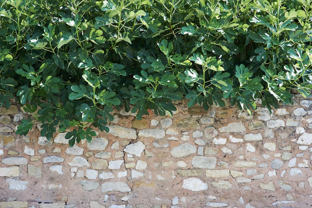 La Maison D'Ulysse Small Luxury Hotel Baron  Exterior photo