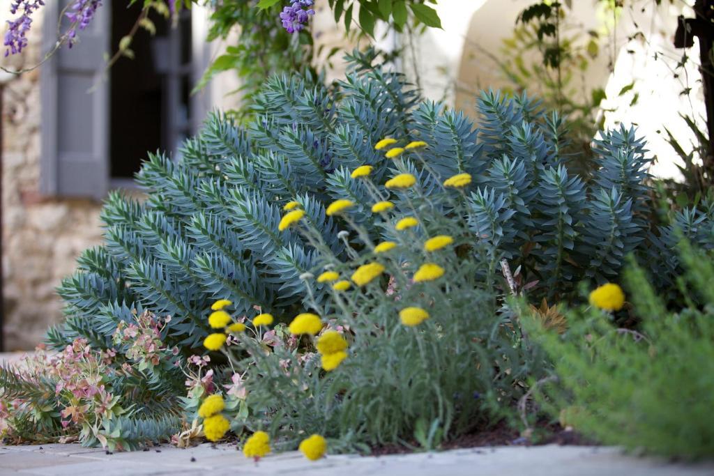 La Maison D'Ulysse Small Luxury Hotel Baron  Exterior photo